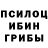 Галлюциногенные грибы мицелий Dmitriy Popkov