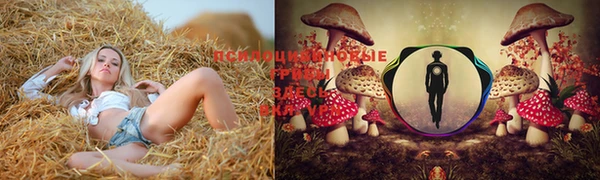 таблы Абдулино
